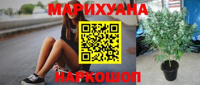 ПСИЛОЦИБИНОВЫЕ ГРИБЫ Шахты