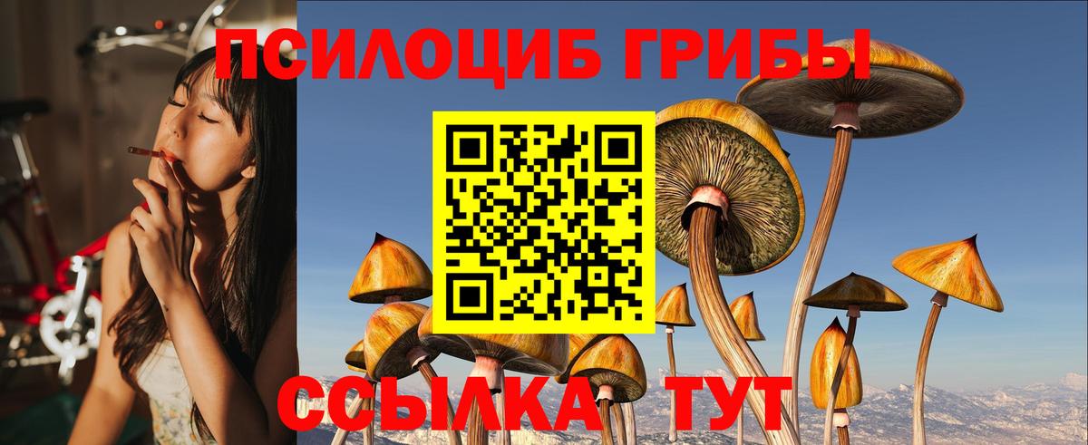 Псилоцибиновые грибы Magic Shrooms  Вход с VPN  даркнет сайт  Серов 