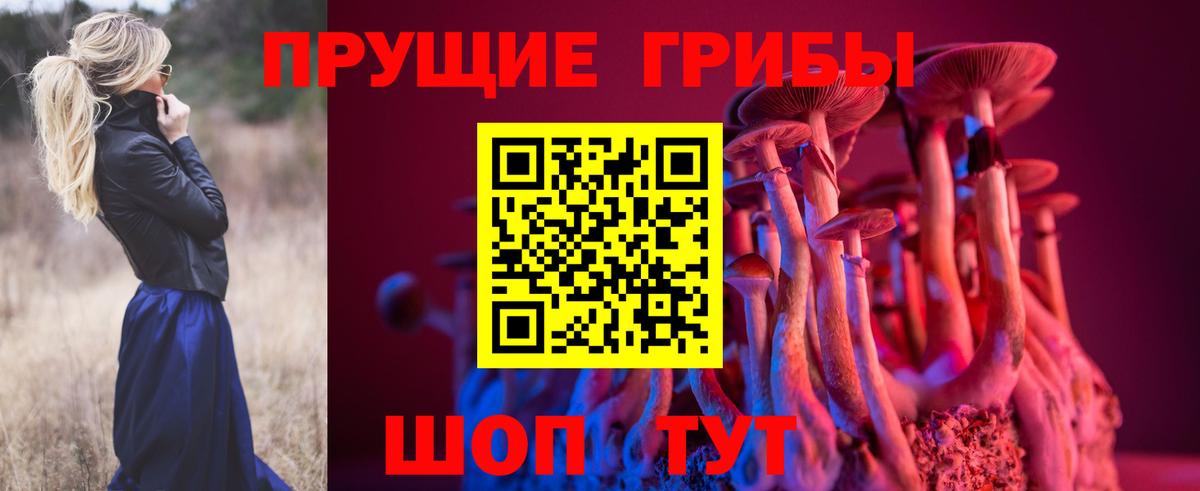 Псилоцибиновые грибы прущие грибы Серов